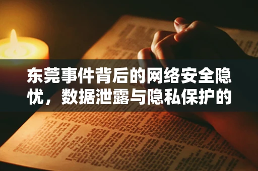 东莞事件背后的网络安全隐忧，数据泄露与隐私保护的双重挑战