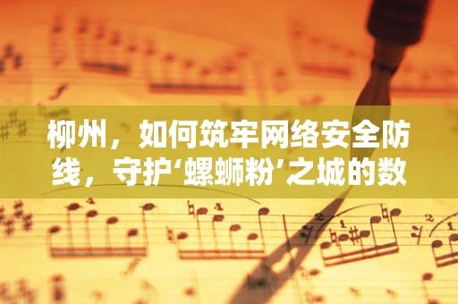 柳州，如何筑牢网络安全防线，守护‘螺蛳粉’之城的数字安全？