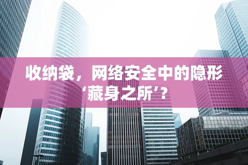 收纳袋，网络安全中的隐形‘藏身之所’？