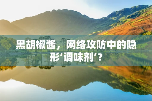 黑胡椒酱，网络攻防中的隐形‘调味剂’？