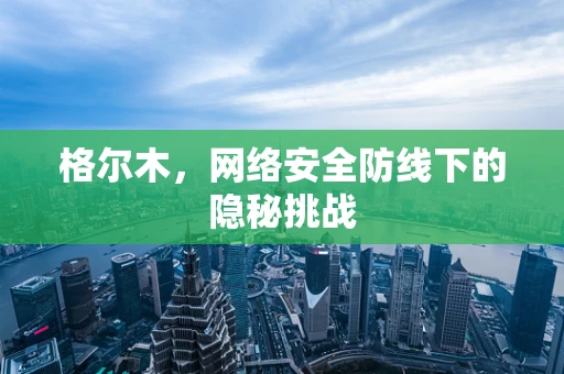 格尔木，网络安全防线下的隐秘挑战