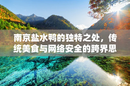 南京盐水鸭的独特之处，传统美食与网络安全的跨界思考