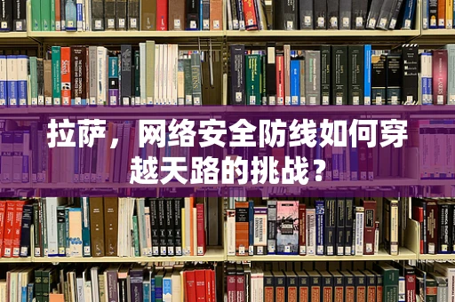 拉萨，网络安全防线如何穿越天路的挑战？
