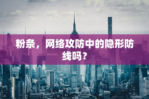 粉条，网络攻防中的隐形防线吗？