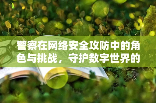 警察在网络安全攻防中的角色与挑战，守护数字世界的隐形卫士？