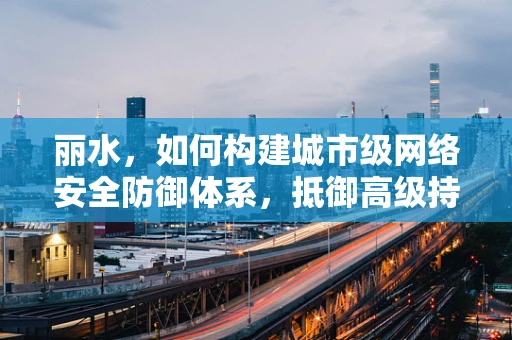丽水，如何构建城市级网络安全防御体系，抵御高级持续性威胁？