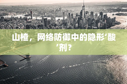 山楂，网络防御中的隐形‘酸’剂？