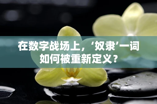 在数字战场上，‘奴隶’一词如何被重新定义？