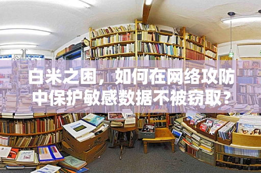 白米之困，如何在网络攻防中保护敏感数据不被窃取？
