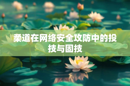 柔道在网络安全攻防中的投技与固技