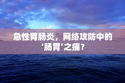急性胃肠炎，网络攻防中的‘肠胃’之痛？