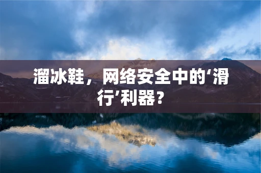 溜冰鞋，网络安全中的‘滑行’利器？