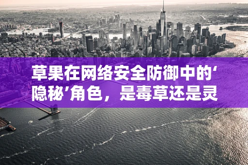 草果在网络安全防御中的‘隐秘’角色，是毒草还是灵丹？