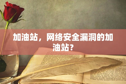 加油站，网络安全漏洞的加油站？