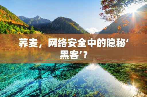 荞麦，网络安全中的隐秘‘黑客’？