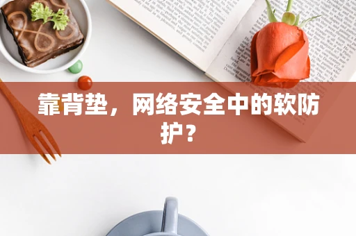靠背垫，网络安全中的软防护？