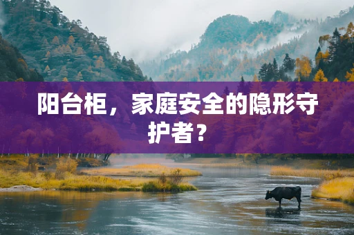 阳台柜，家庭安全的隐形守护者？