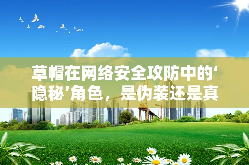 草帽在网络安全攻防中的‘隐秘’角色，是伪装还是真功夫？