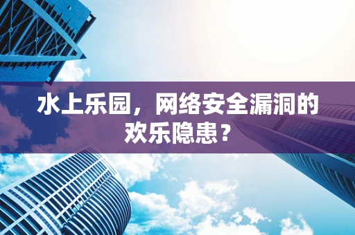 水上乐园，网络安全漏洞的欢乐隐患？