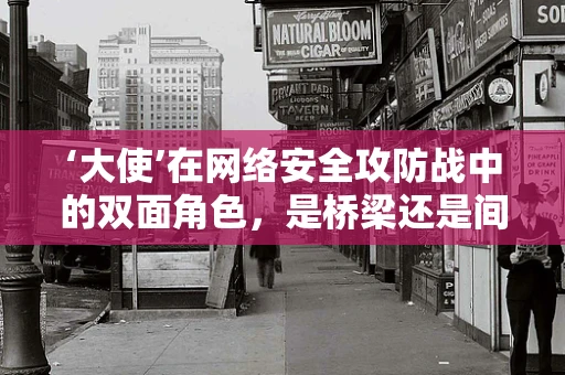 ‘大使’在网络安全攻防战中的双面角色，是桥梁还是间谍？
