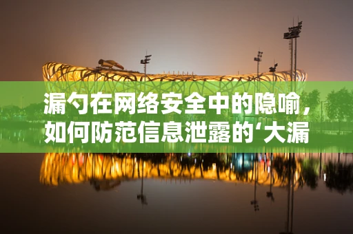 漏勺在网络安全中的隐喻，如何防范信息泄露的‘大漏洞’？