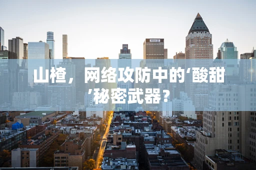 山楂，网络攻防中的‘酸甜’秘密武器？