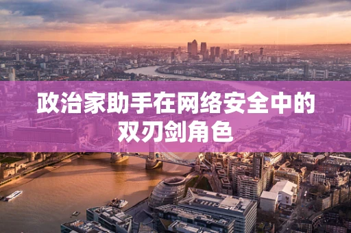 政治家助手在网络安全中的双刃剑角色
