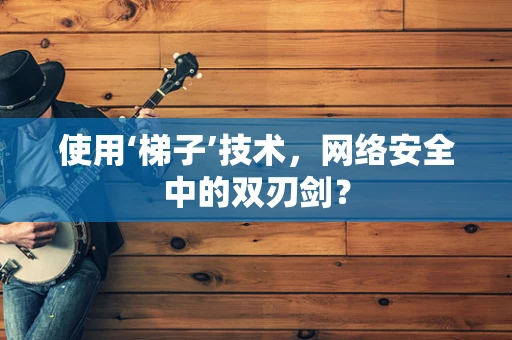 使用‘梯子’技术，网络安全中的双刃剑？