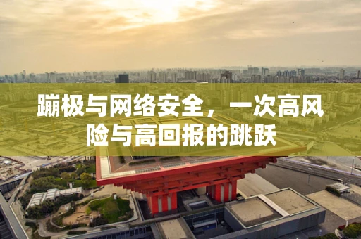 蹦极与网络安全，一次高风险与高回报的跳跃