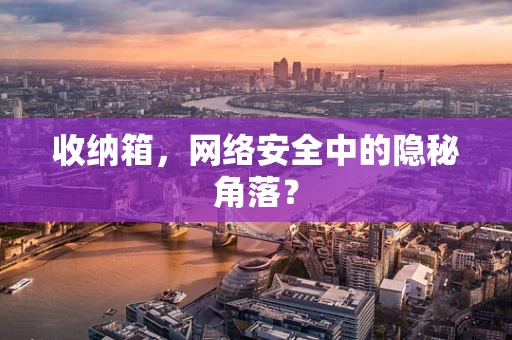 收纳箱，网络安全中的隐秘角落？