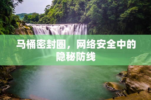 马桶密封圈，网络安全中的隐秘防线