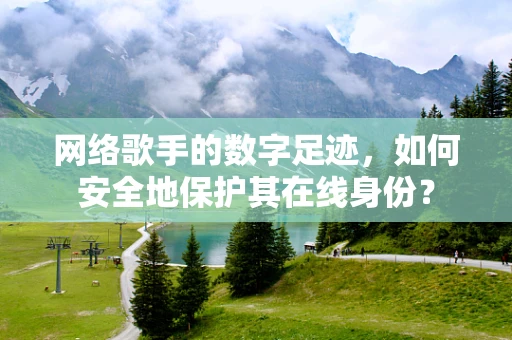 网络歌手的数字足迹，如何安全地保护其在线身份？