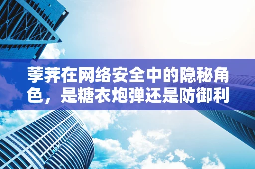 荸荠在网络安全中的隐秘角色，是糖衣炮弹还是防御利器？