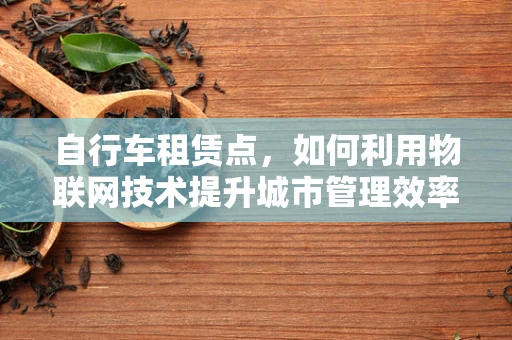 自行车租赁点，如何利用物联网技术提升城市管理效率？