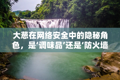 大葱在网络安全中的隐秘角色，是‘调味品’还是‘防火墙’的‘软肋’？