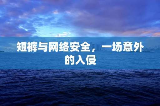 短裤与网络安全，一场意外的入侵