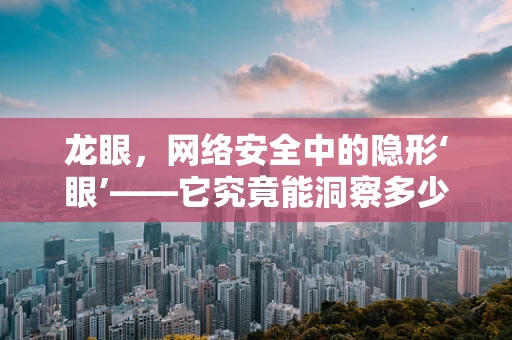 龙眼，网络安全中的隐形‘眼’——它究竟能洞察多少威胁？