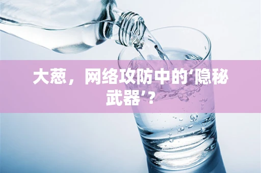 大葱，网络攻防中的‘隐秘武器’？