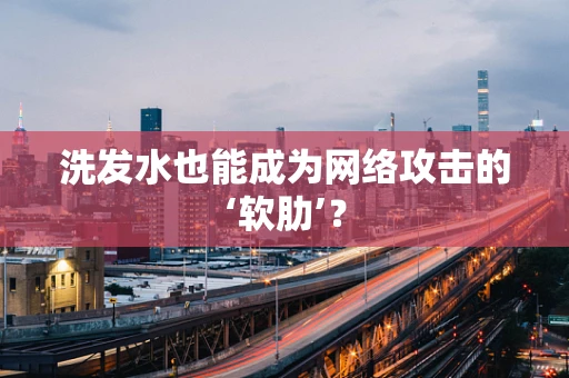 洗发水也能成为网络攻击的‘软肋’？