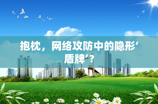 抱枕，网络攻防中的隐形‘盾牌’？