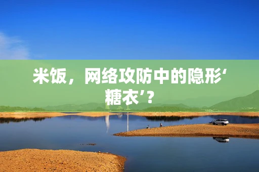 米饭，网络攻防中的隐形‘糖衣’？