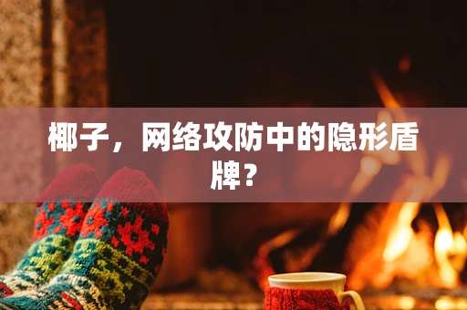 椰子，网络攻防中的隐形盾牌？