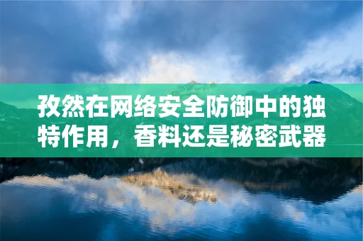 孜然在网络安全防御中的独特作用，香料还是秘密武器？
