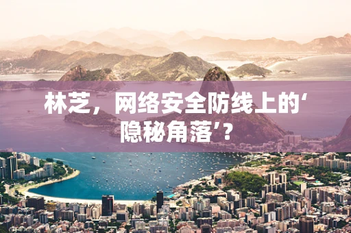 林芝，网络安全防线上的‘隐秘角落’？