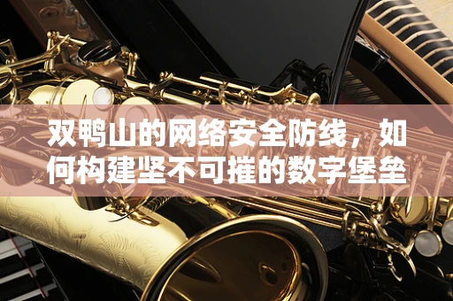 双鸭山的网络安全防线，如何构建坚不可摧的数字堡垒？