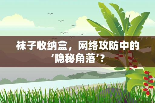袜子收纳盒，网络攻防中的‘隐秘角落’？
