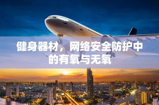 健身器材，网络安全防护中的有氧与无氧