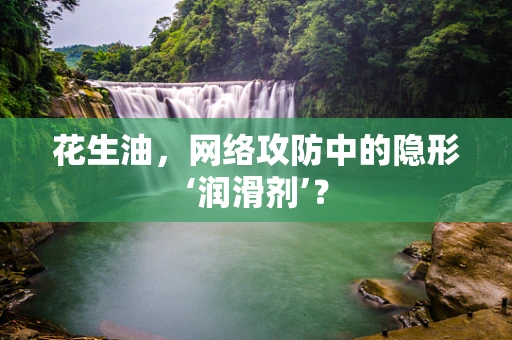 花生油，网络攻防中的隐形‘润滑剂’？