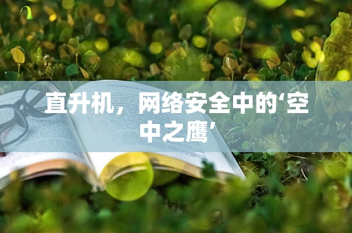 直升机，网络安全中的‘空中之鹰’