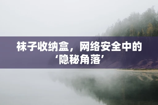袜子收纳盒，网络安全中的‘隐秘角落’